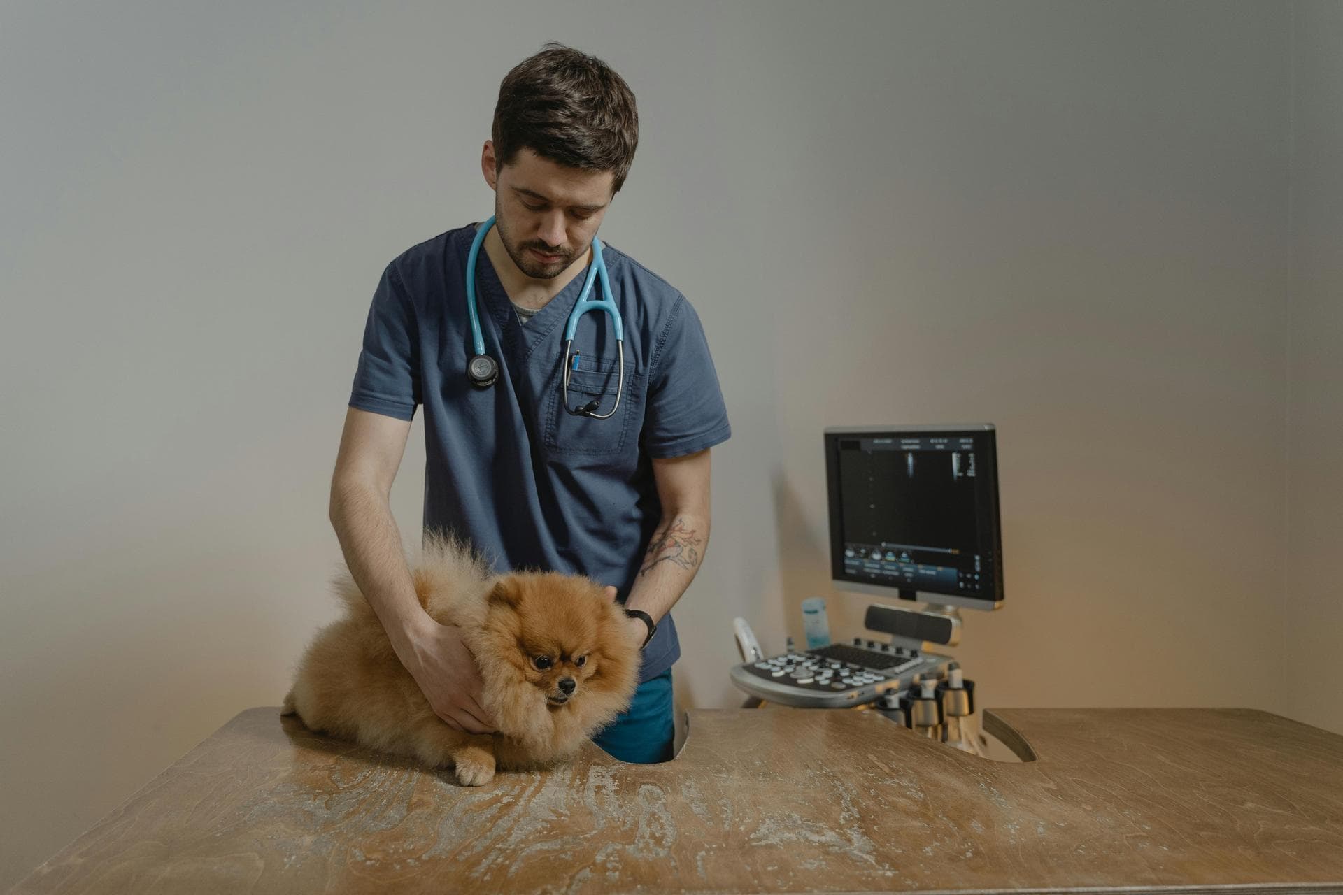Dog & Cat Vets in Reno
